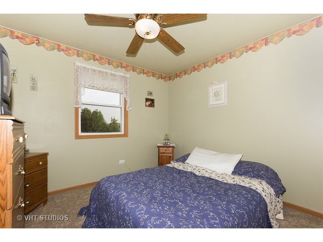 6503 Walter Adamic Ln, Plainfield, IL 60586 photo 8