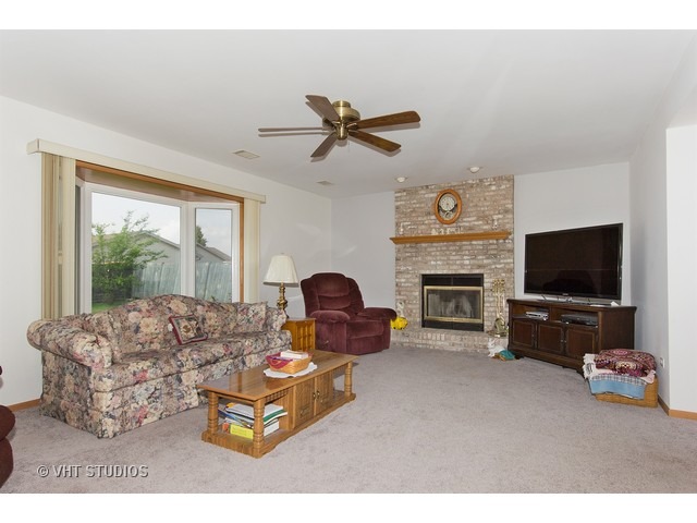 6503 Walter Adamic Ln, Plainfield, IL 60586 photo 4