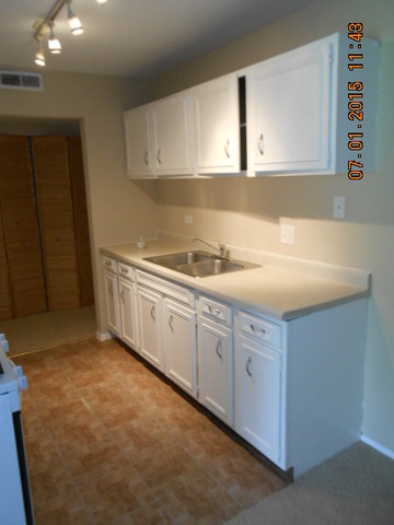 16 W571 Mockingbird Ln #105, Willowbrook, IL 60527 photo 5