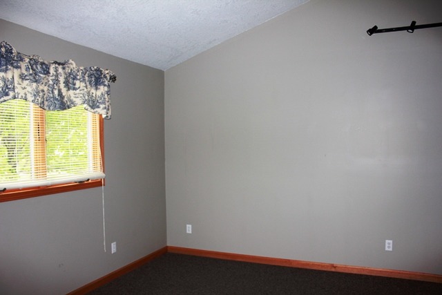 114 Colonial Dr, Onarga, IL 60955 photo 13