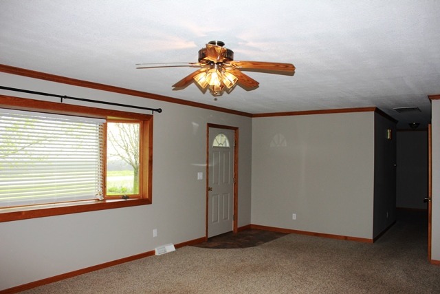 114 Colonial Dr, Onarga, IL 60955 photo 4
