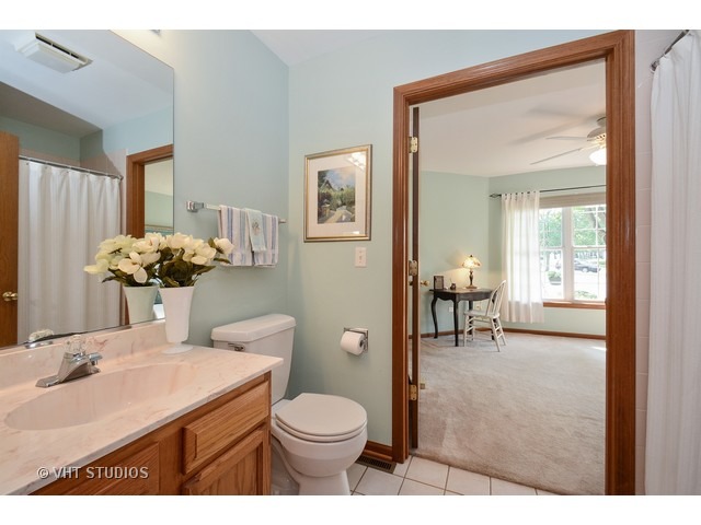 13305 Red Cedar Ln, Plainfield, IL 60544 photo 9