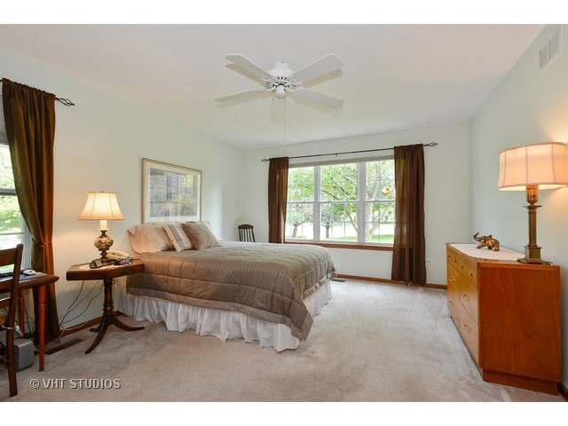 13305 Red Cedar Ln, Plainfield, IL 60544 photo 6