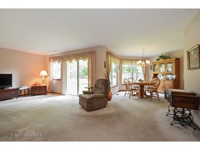 13305 Red Cedar Ln, Plainfield, IL 60544 photo 3