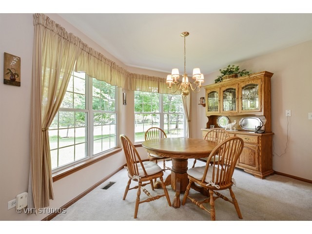 13305 Red Cedar Ln, Plainfield, IL 60544 photo 5
