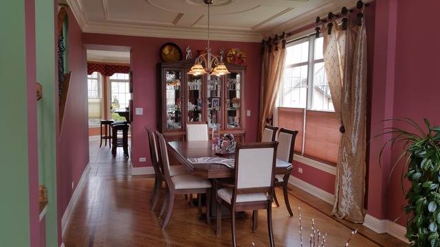 213 Burton Dr, Bartlett, IL 60103 photo 5