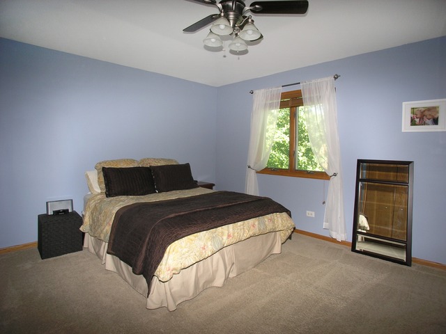 13031 S Hadfield Dr, Plainfield, IL 60585 photo 12