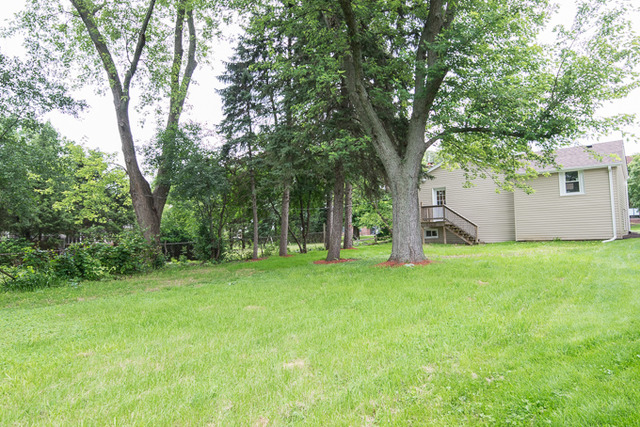 168 Knoll St, Wheaton, IL 60187 photo 18