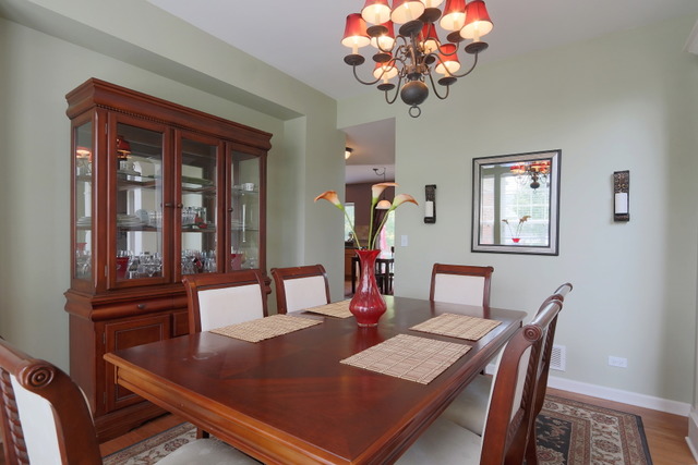 24144 Nottingham Ave, Plainfield, IL 60585 photo 9