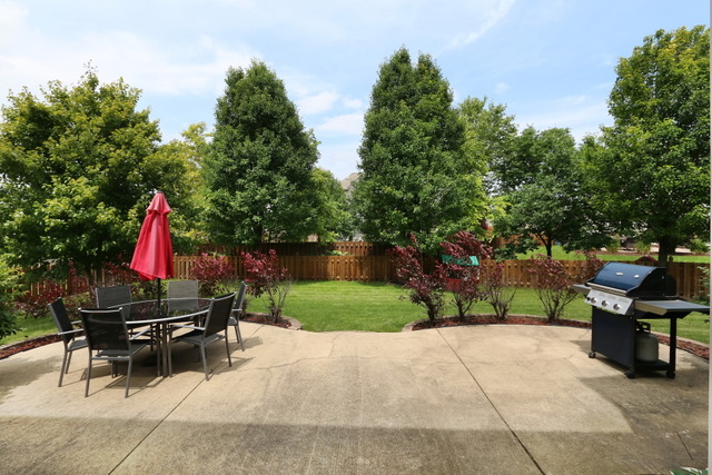 24144 Nottingham Ave, Plainfield, IL 60585 photo 24