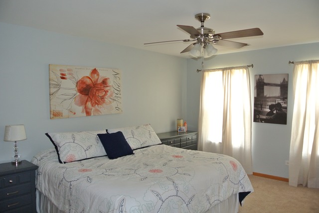 2800 Crested Butte Trl, Plainfield, IL 60586 photo 13