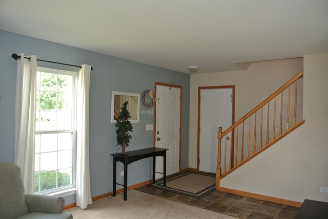 2800 Crested Butte Trl, Plainfield, IL 60586 photo 4