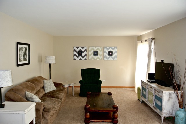 2800 Crested Butte Trl, Plainfield, IL 60586 photo 10