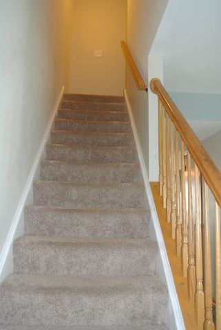 2800 Crested Butte Trl, Plainfield, IL 60586 photo 12