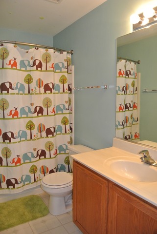 2800 Crested Butte Trl, Plainfield, IL 60586 photo 17