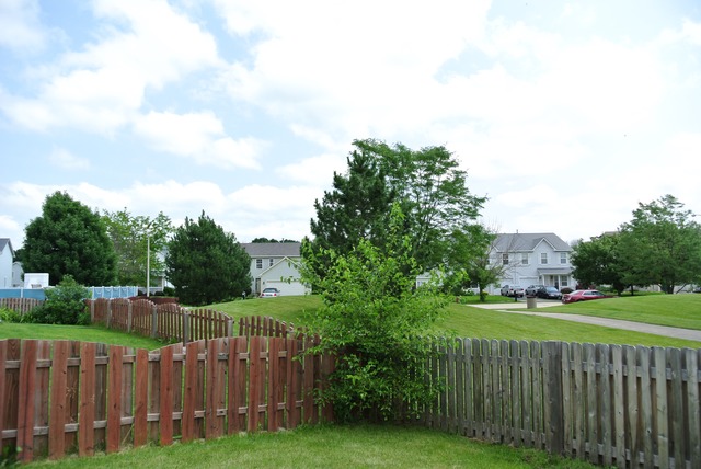 2800 Crested Butte Trl, Plainfield, IL 60586 photo 23