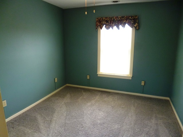 25562 S 104th Ave, Monee, IL 60449 photo 11