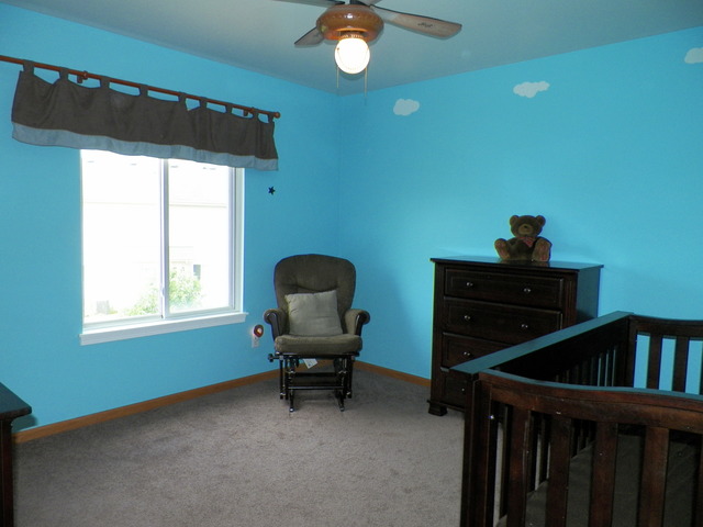14204 S Lehigh Dr, Plainfield, IL 60544 photo 19