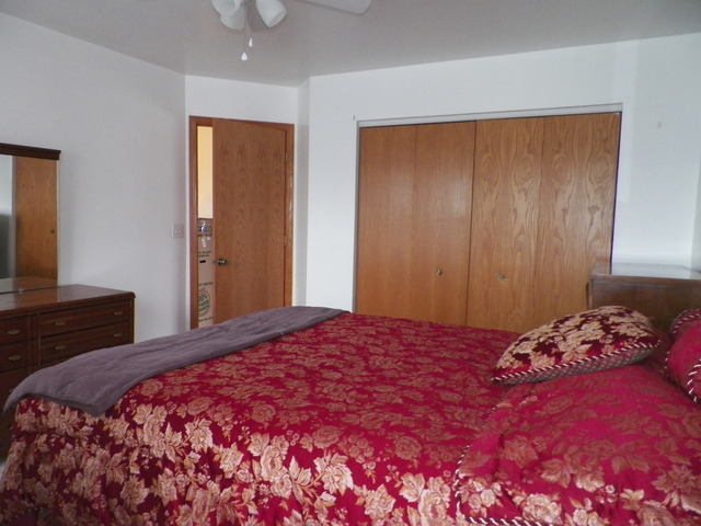 14204 S Lehigh Dr, Plainfield, IL 60544 photo 22