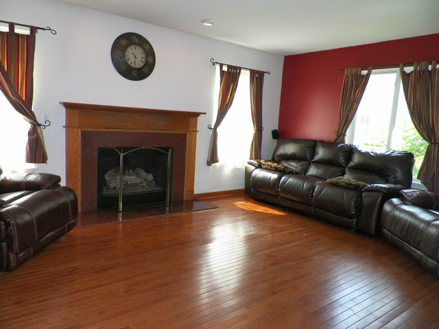 14204 S Lehigh Dr, Plainfield, IL 60544 photo 9