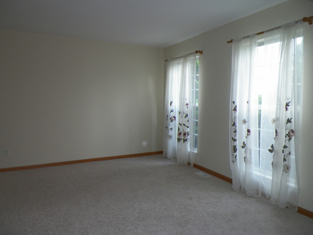 14204 S Lehigh Dr, Plainfield, IL 60544 photo 3
