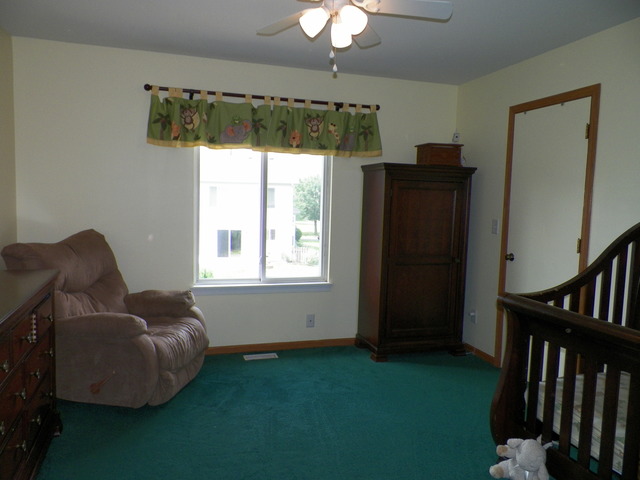 14204 S Lehigh Dr, Plainfield, IL 60544 photo 17