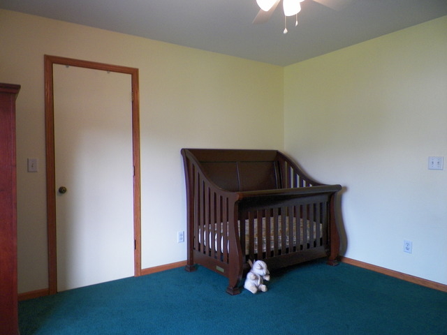 14204 S Lehigh Dr, Plainfield, IL 60544 photo 18