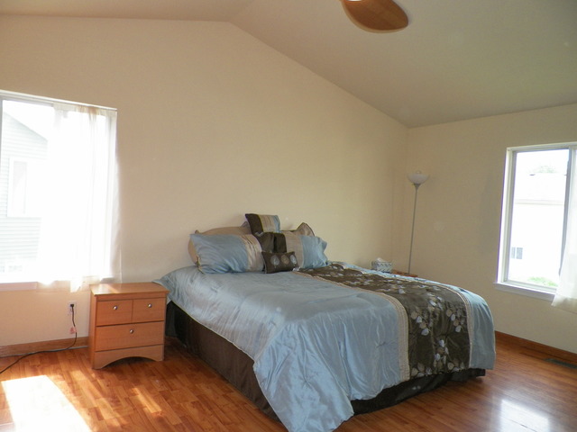 14204 S Lehigh Dr, Plainfield, IL 60544 photo 12