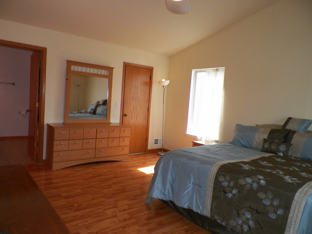14204 S Lehigh Dr, Plainfield, IL 60544 photo 14