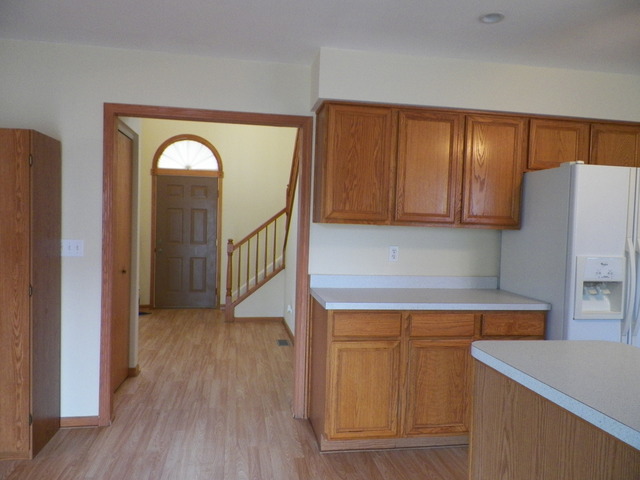 14204 S Lehigh Dr, Plainfield, IL 60544 photo 8