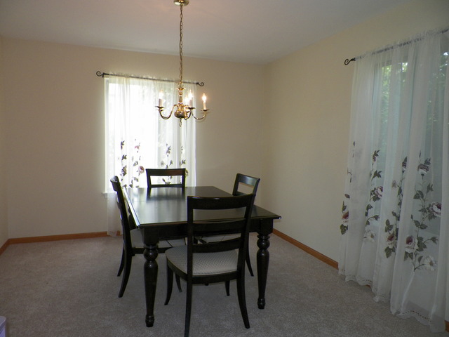14204 S Lehigh Dr, Plainfield, IL 60544 photo 4