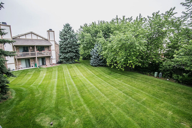 2320 Olde Mill Rd, Plainfield, IL 60586 photo 22