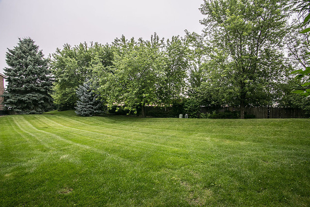 2320 Olde Mill Rd, Plainfield, IL 60586 photo 23