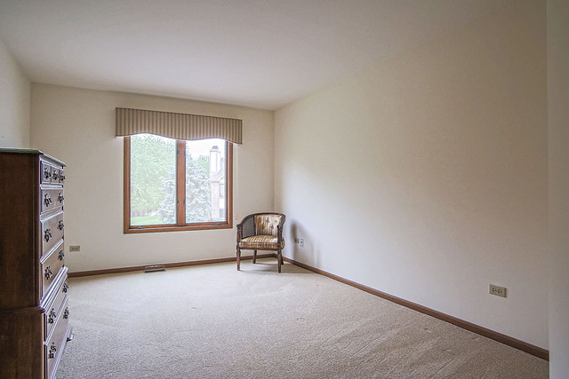 2320 Olde Mill Rd, Plainfield, IL 60586 photo 14