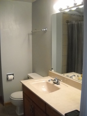 679 Lakeside Cir Dr, Wheeling, IL 60090 photo 9