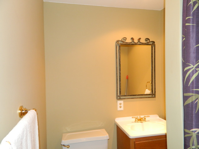 4537 Thornbark Dr, Hoffman Estates, IL 60192 photo 16