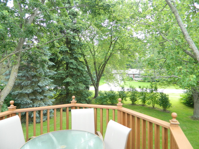4537 Thornbark Dr, Hoffman Estates, IL 60192 photo 19