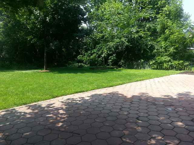 213 Franklin Blvd, Elgin, IL 60120 photo 15