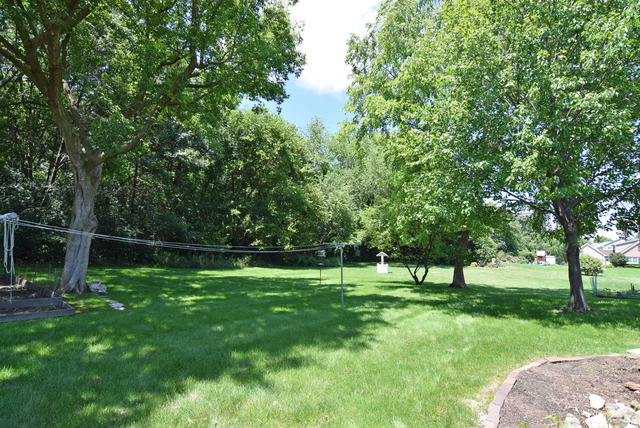 2053 Monday Dr, Elgin, IL 60123 photo 22