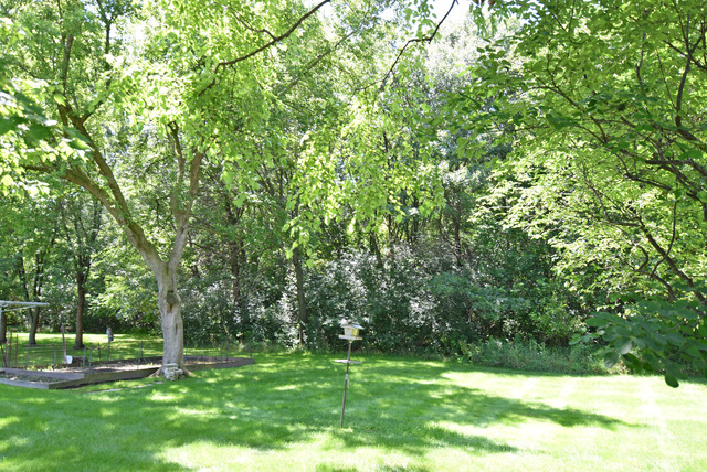 2053 Monday Dr, Elgin, IL 60123 photo 23