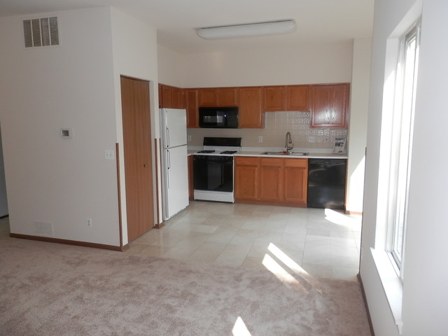 13953 S Oregon Dr, Plainfield, IL 60544 photo 3