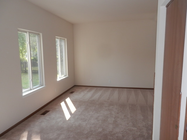 13953 S Oregon Dr, Plainfield, IL 60544 photo 7