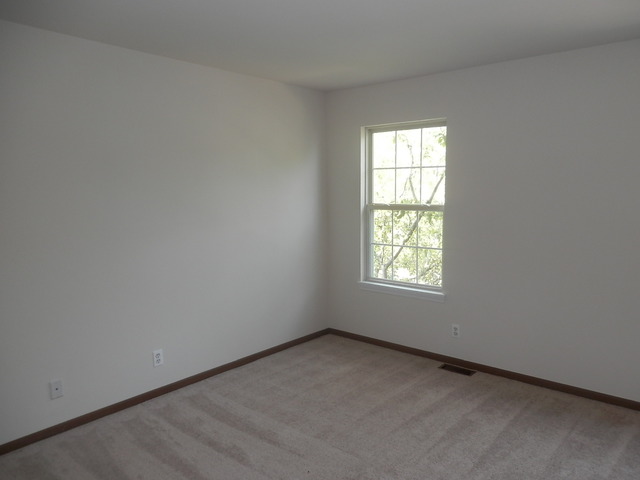 13953 S Oregon Dr, Plainfield, IL 60544 photo 13