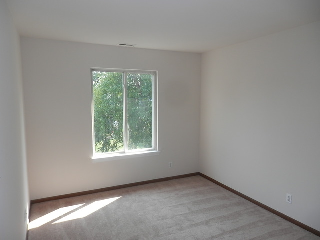 13953 S Oregon Dr, Plainfield, IL 60544 photo 10