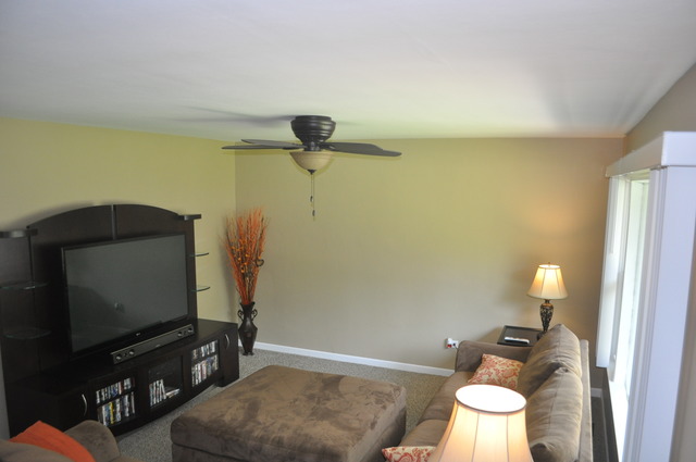 209 S Edison Ave, Elgin, IL 60123 photo 3