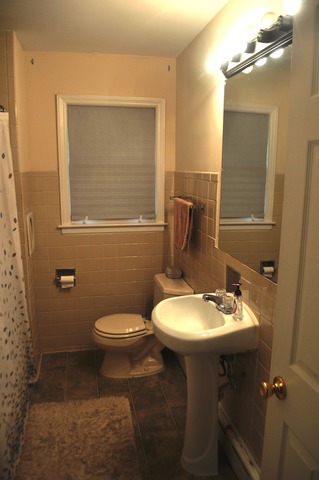 209 S Edison Ave, Elgin, IL 60123 photo 12