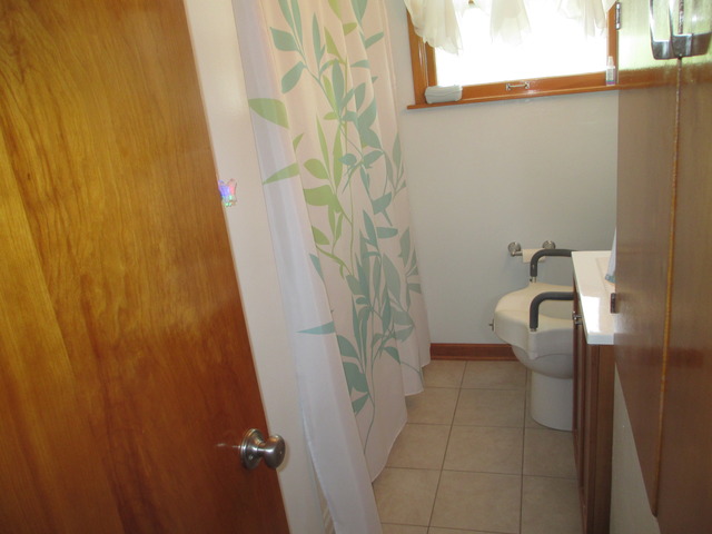 17548 Walter St, Lansing, IL 60438 photo 11