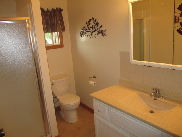 17548 Walter St, Lansing, IL 60438 photo 9