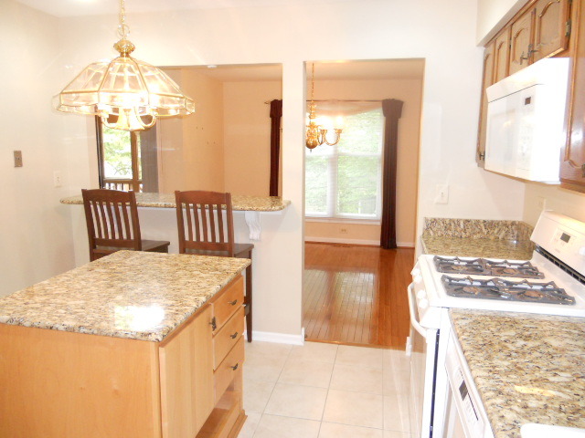 455 River Front Cir, Naperville, IL 60540 photo 11