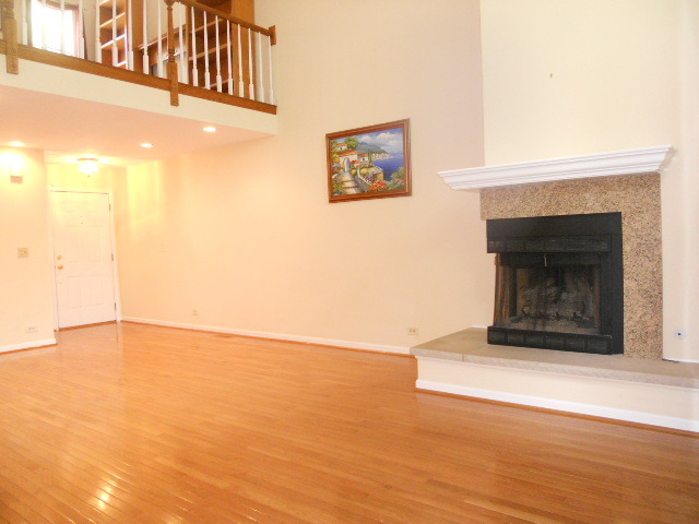455 River Front Cir, Naperville, IL 60540 photo 4